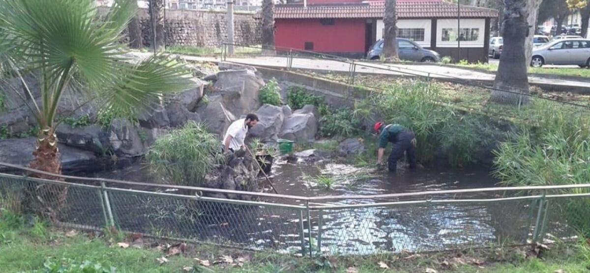 Il M5S ripulisce la Sorgente delle Lavandaie: “Metteremo anche una targhetta” - 