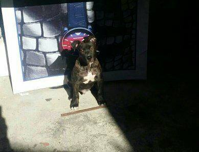 702812_953152061405252_1438114406_n