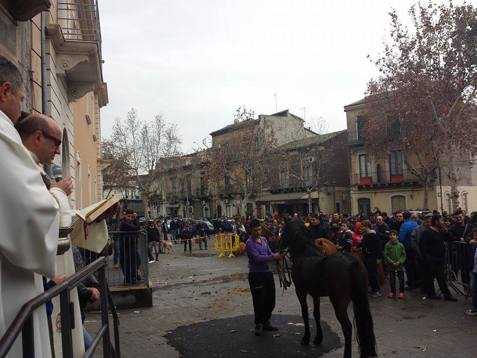 10921763_10204983571382428_1565695940_n