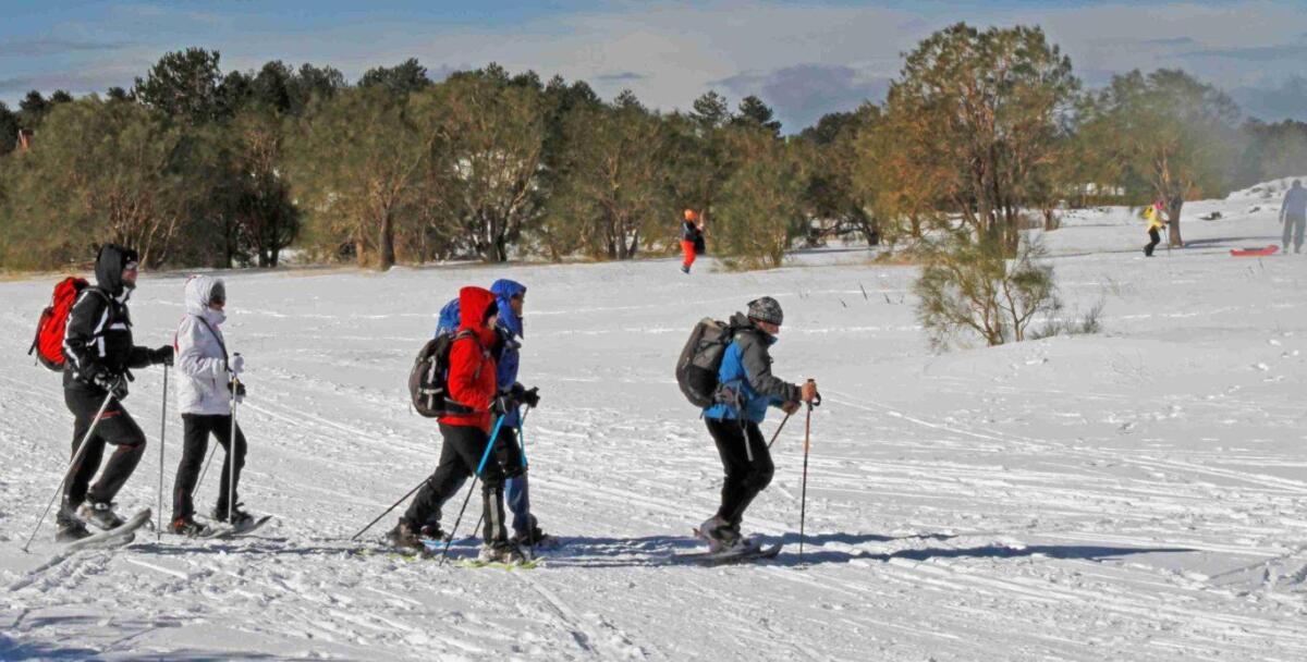 Parco dell'Etna: domenica 15 febbraio doppio appuntamento per “Parco  d’inverno 2015” - 
