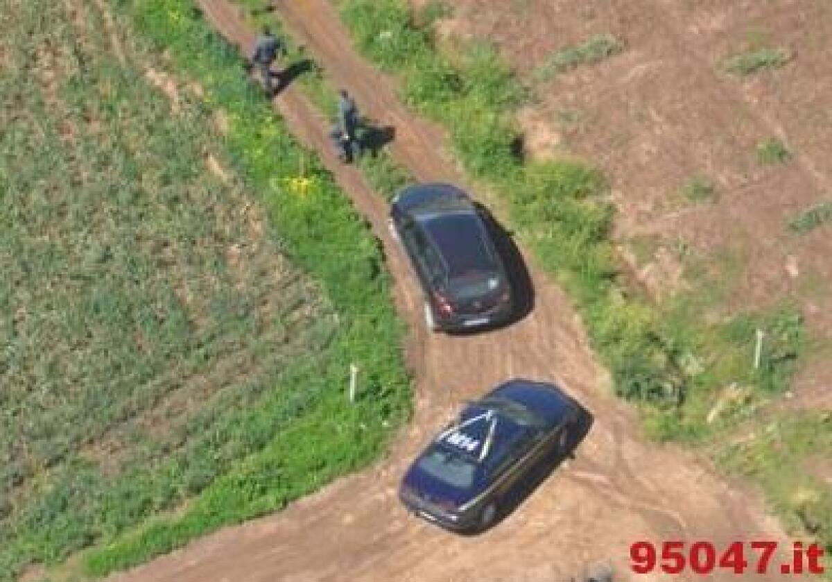 Scoperti 400 falsi braccianti agricoli - 