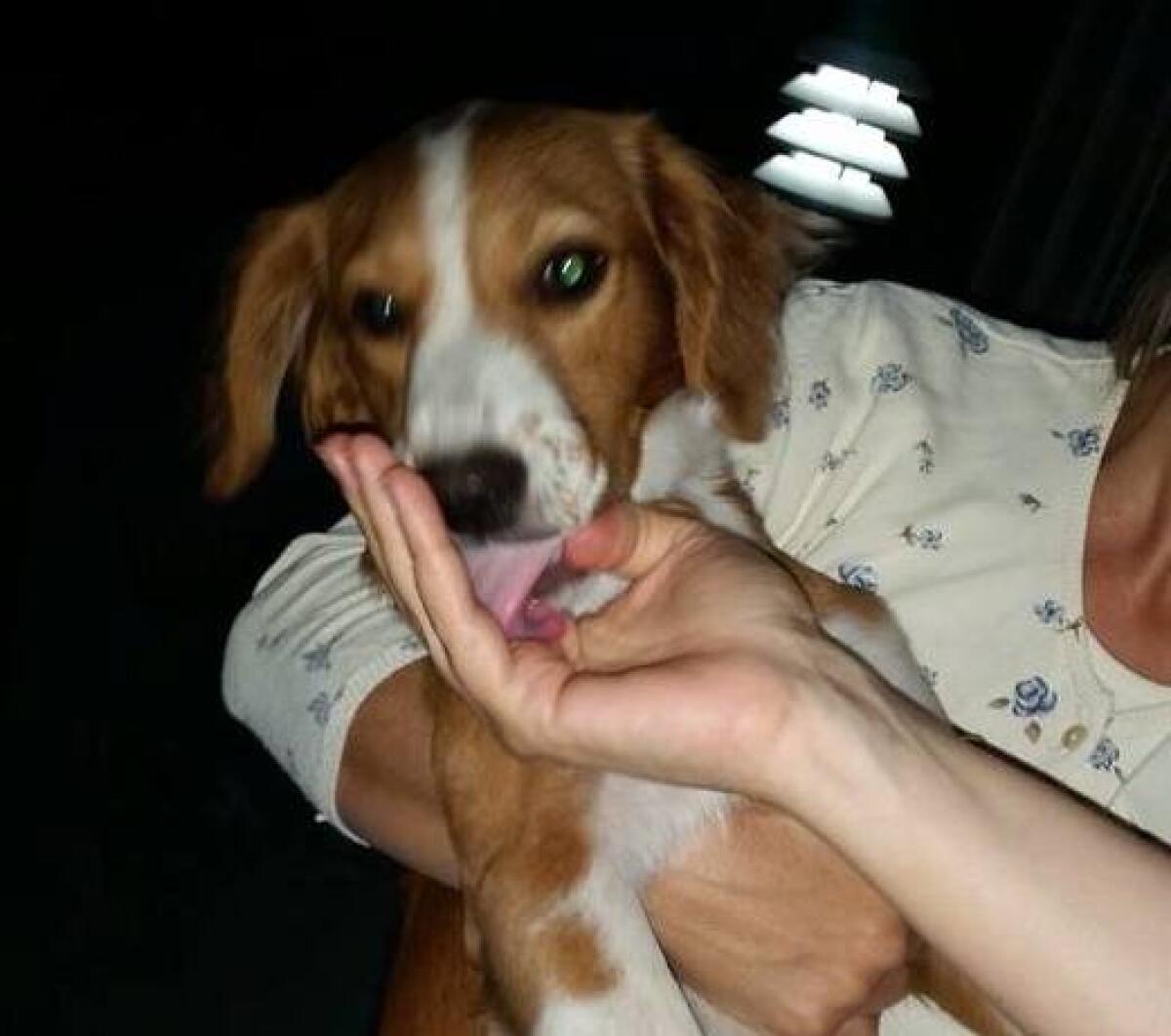 Le segnalazioni dei lettori - 