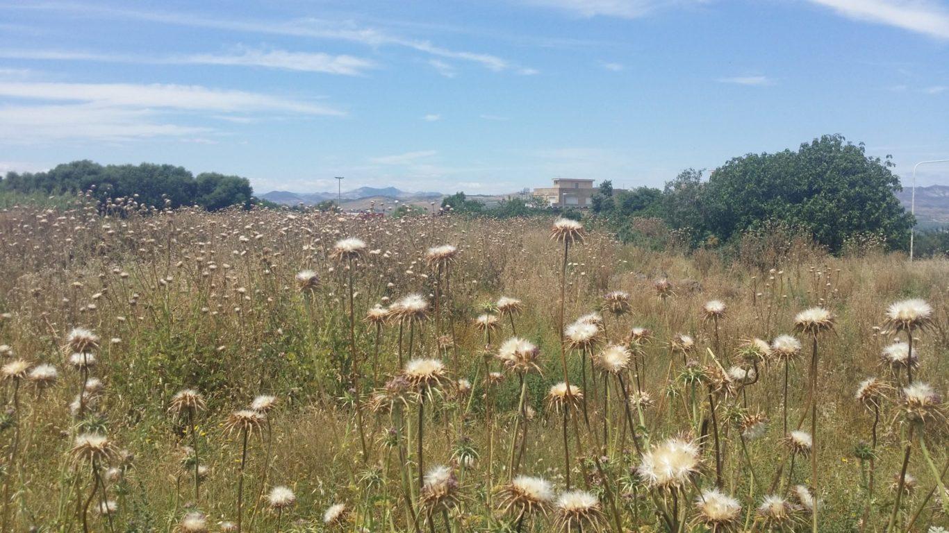 L'area che dà sul Corso Italia adiacente alla piscina comunale
