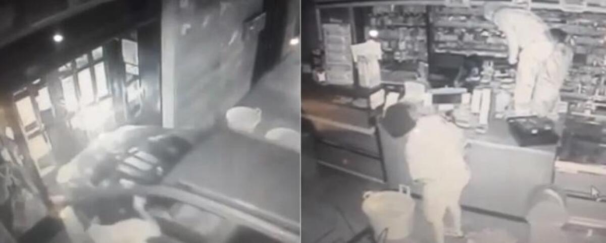 Video-shock: spaccata e furto, la naturalezza con la quale agiscono i balordi - 