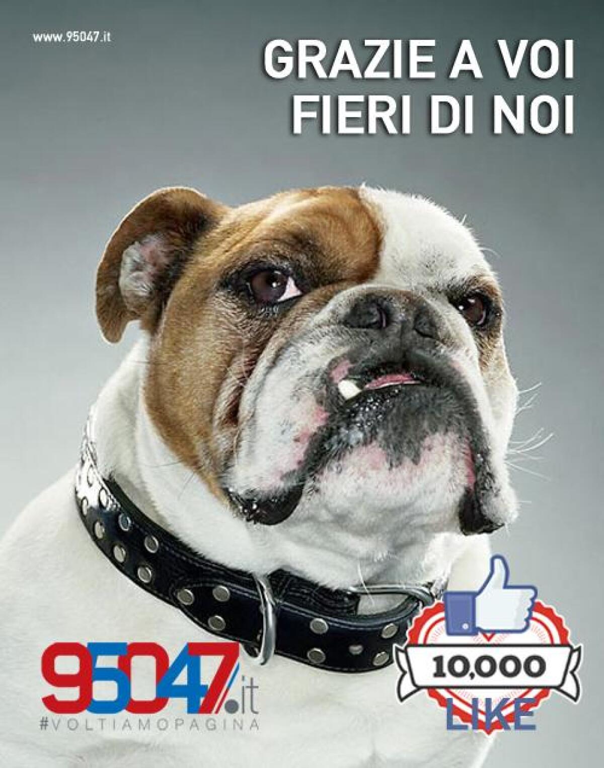 Cari lettori, per tutto questo...: semplicemente grazie - 