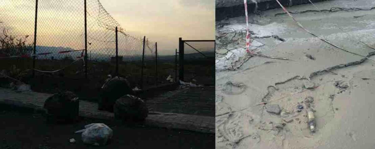 Caro maiale, adesso basta - 