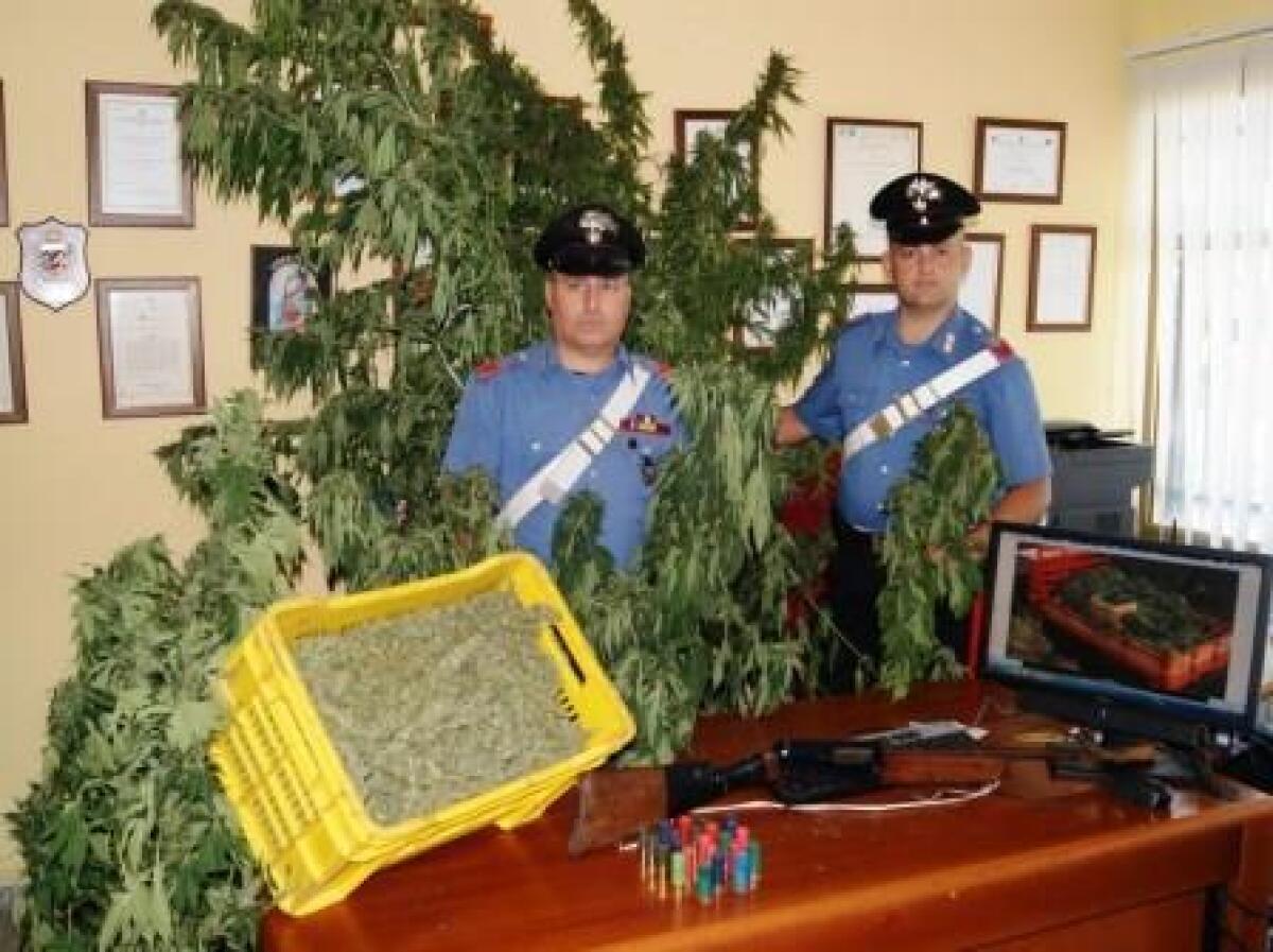 Droga, il blitz di ieri a Belpasso: i carabinieri di Paternò arrestano 6 persone - 