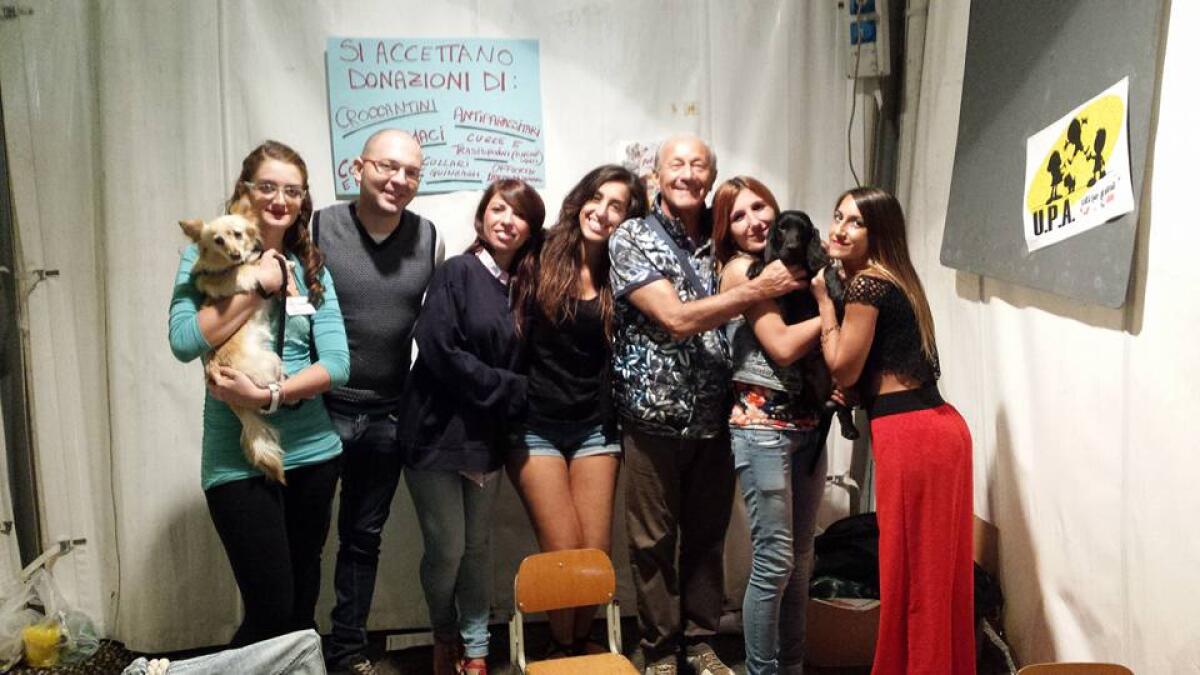 Balordi in azione: svuotano il salvadanaio delle associazioni animaliste - 