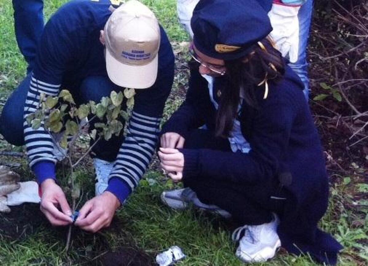 Anche a Paternò la "Festa dell'albero" - 