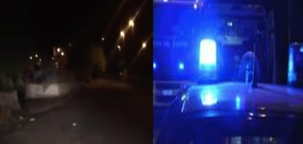 L'omicidio di Pedalino: il sospettato si è avvalso della facoltà di non rispondere - 