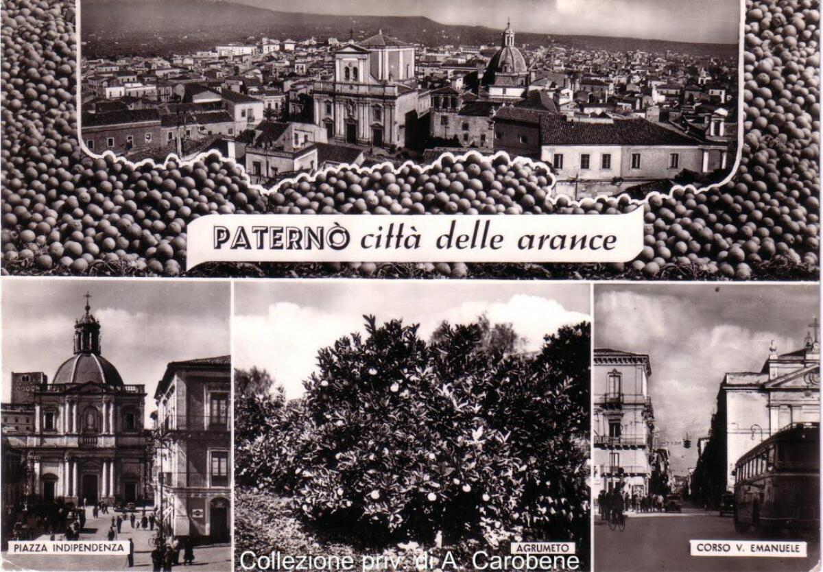 Serve un Dop per le arance paternesi - 