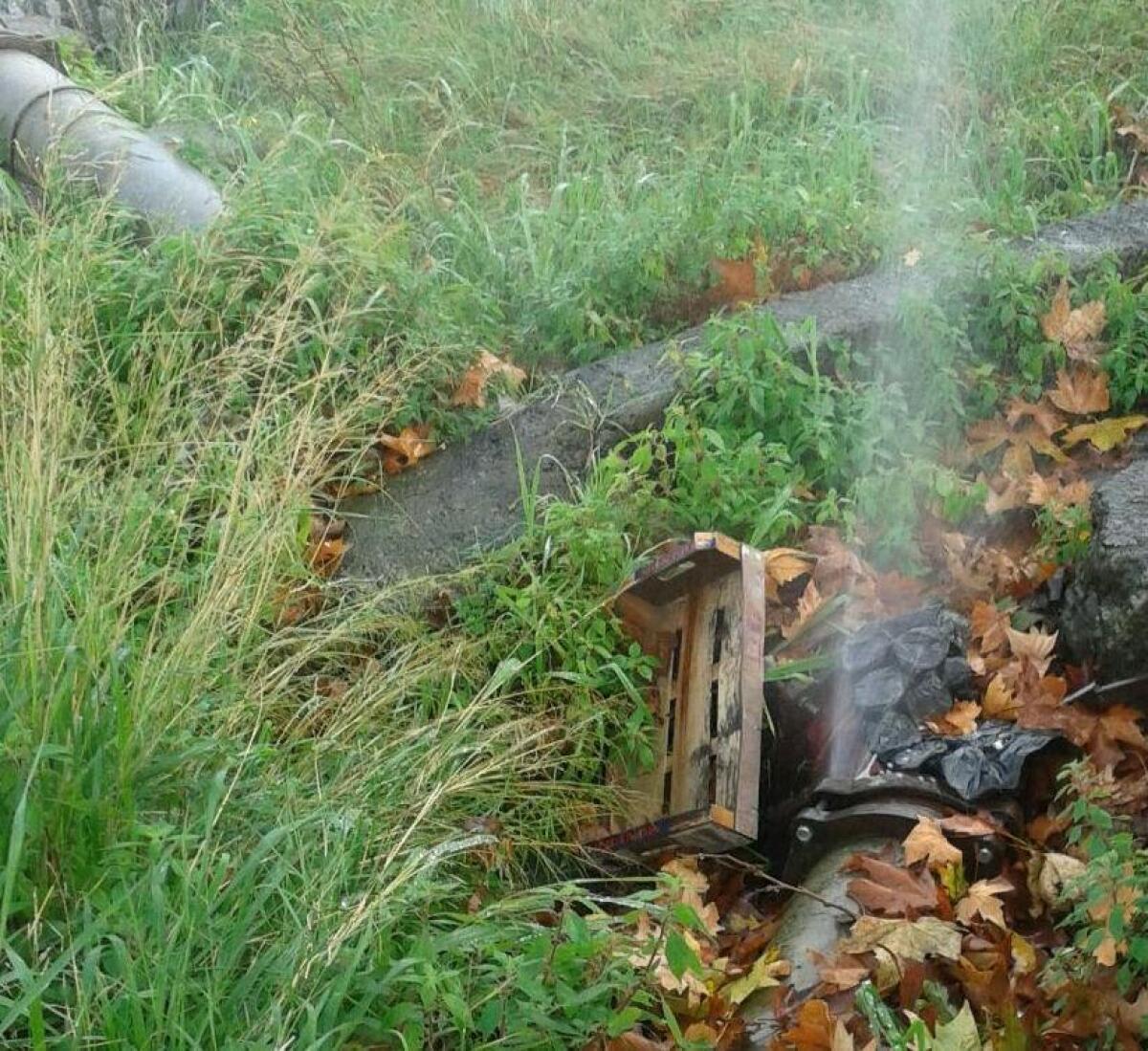 "Vi segnalo una perdita alla rete idrica in viale dei Platani" - 