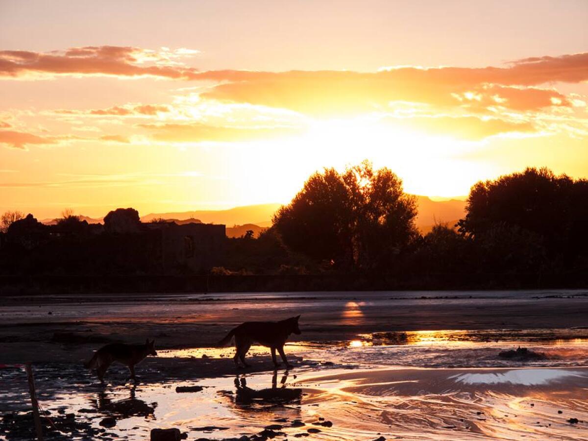 Miracolo alle Salinelle - 