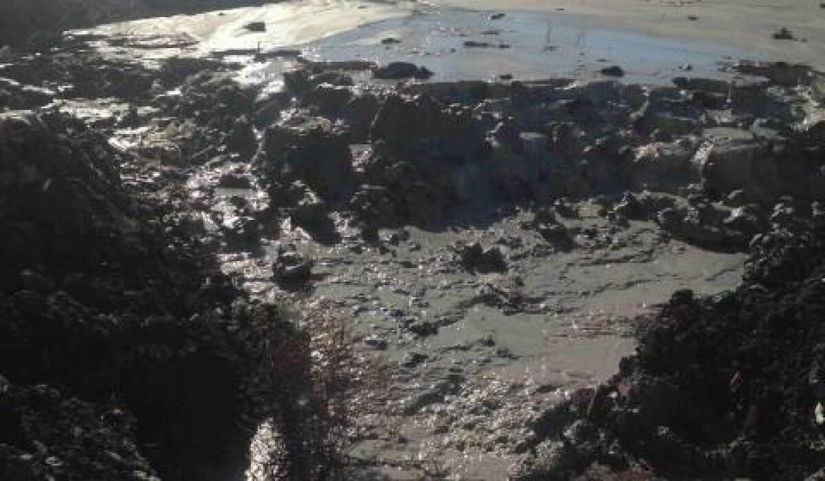 Salinelle, il geologo Cassaniti: "Serve urgentemente uno studio scientifico" - 