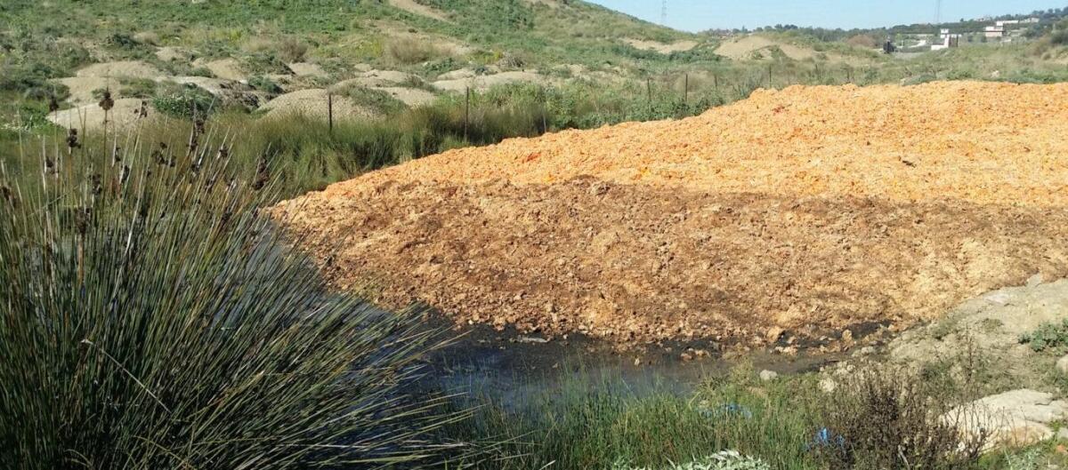 Quintali di scarti di agrumi scaricati illecitamente lungo le “Salinelle di San Biagio” - 