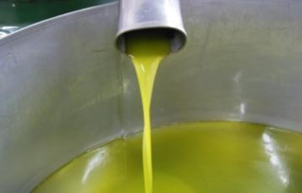 Unione Europea, l'olio della Tunisia invaderà le nostre tavole - 