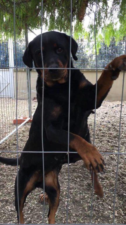 12460091_936971696356258_766421195_n