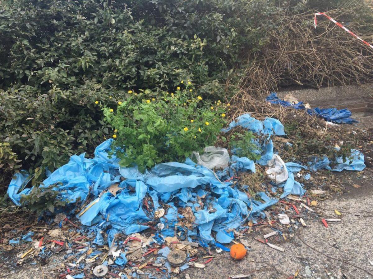 "Da quanto tempo non viene pulito l'ex Giardino Moscato?" - 