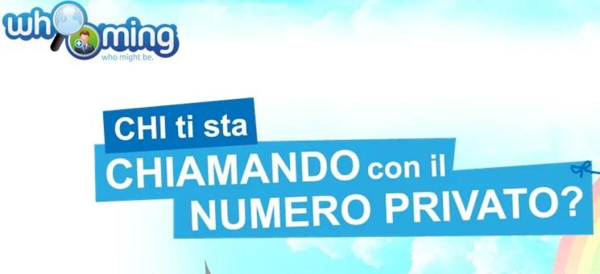 Il servizio per scoprire i "numeri privati" - 