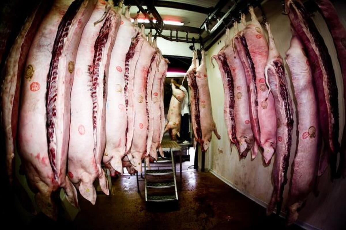 Parco Nebrodi: scoperto macello illegale - 