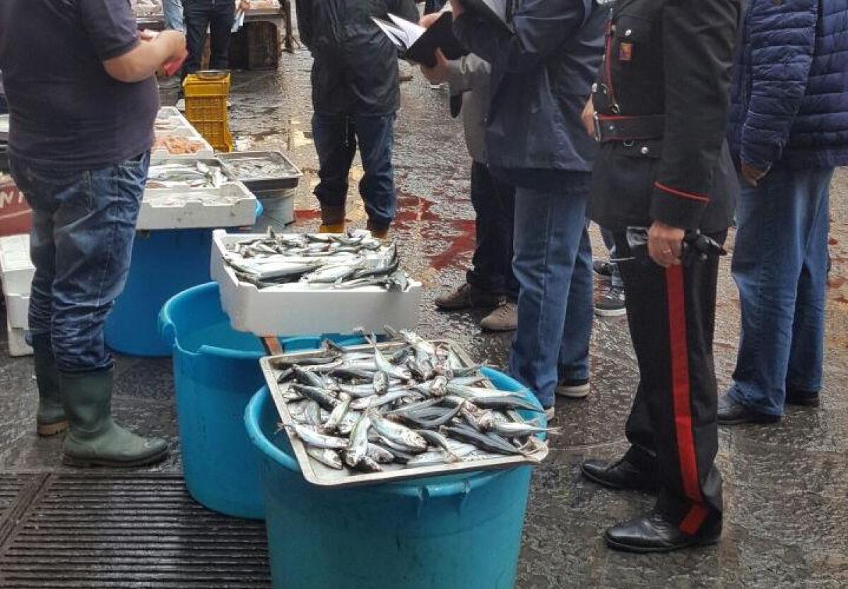 Catania, controlli alla Pescheria - 
