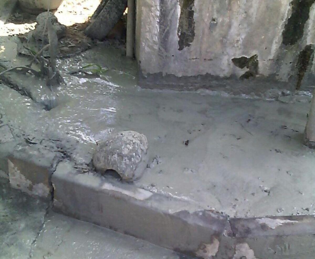 Timida ripresa delle Salinelle (tra le case) - 