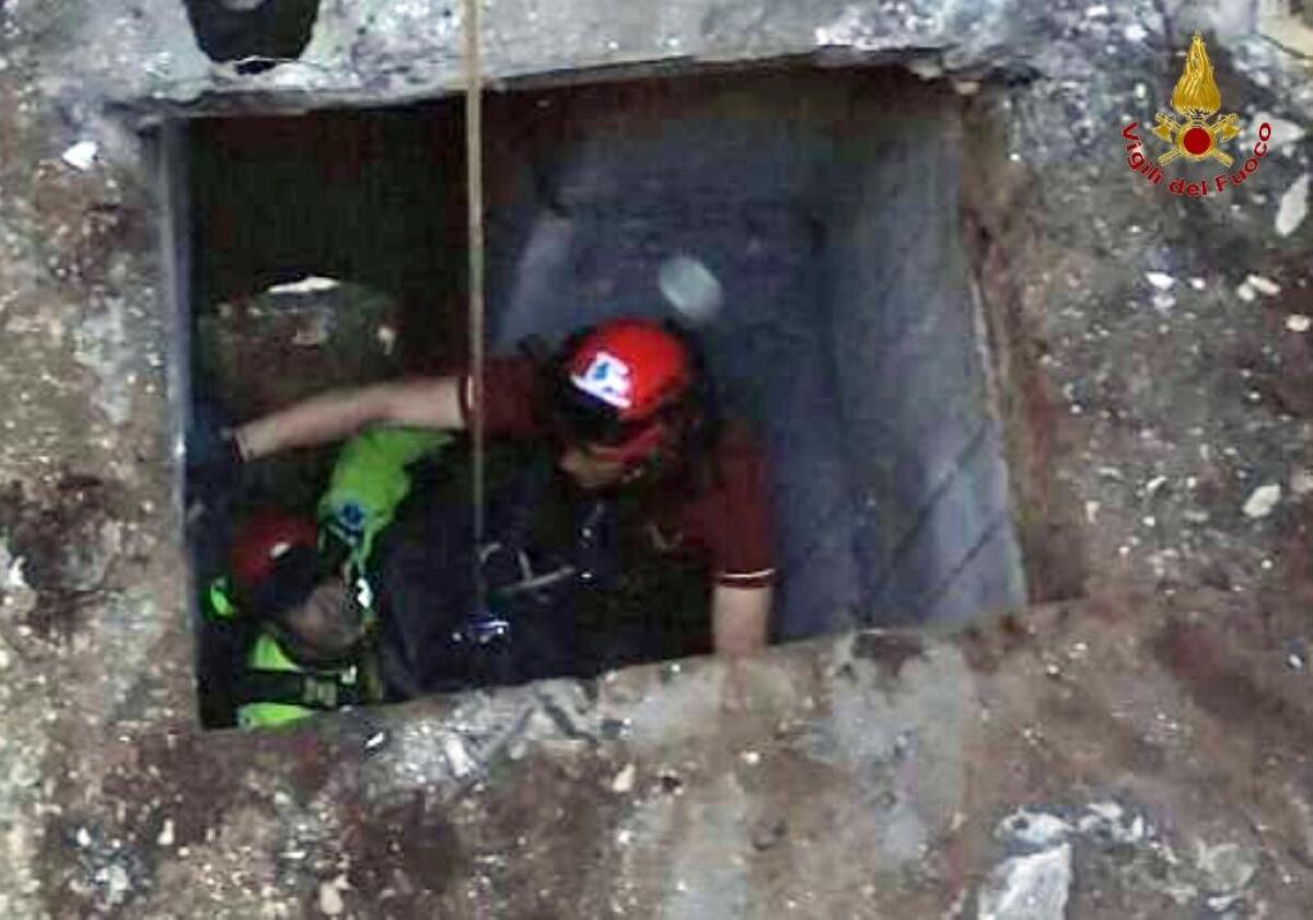 Cade in fondo al pozzo: salvato dai vigili del fuoco - 