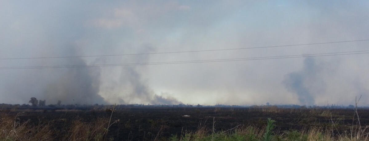 Altro devastante incendio all'Oasi del Simeto - 