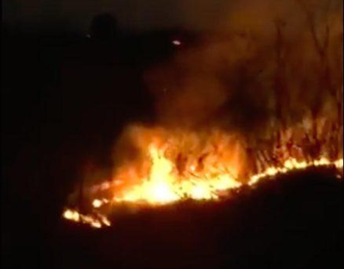 Data alle fiamme la vegetazione dal Ponte Barca a Iannarello: i bracconieri si preparano il campo - 