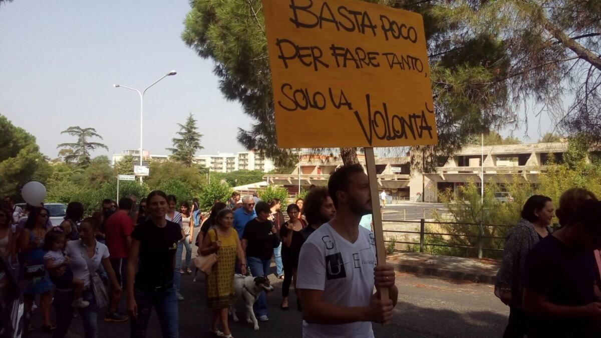 Avvelenamenti e randagismo: "Non abbassiamo la guardia" - 