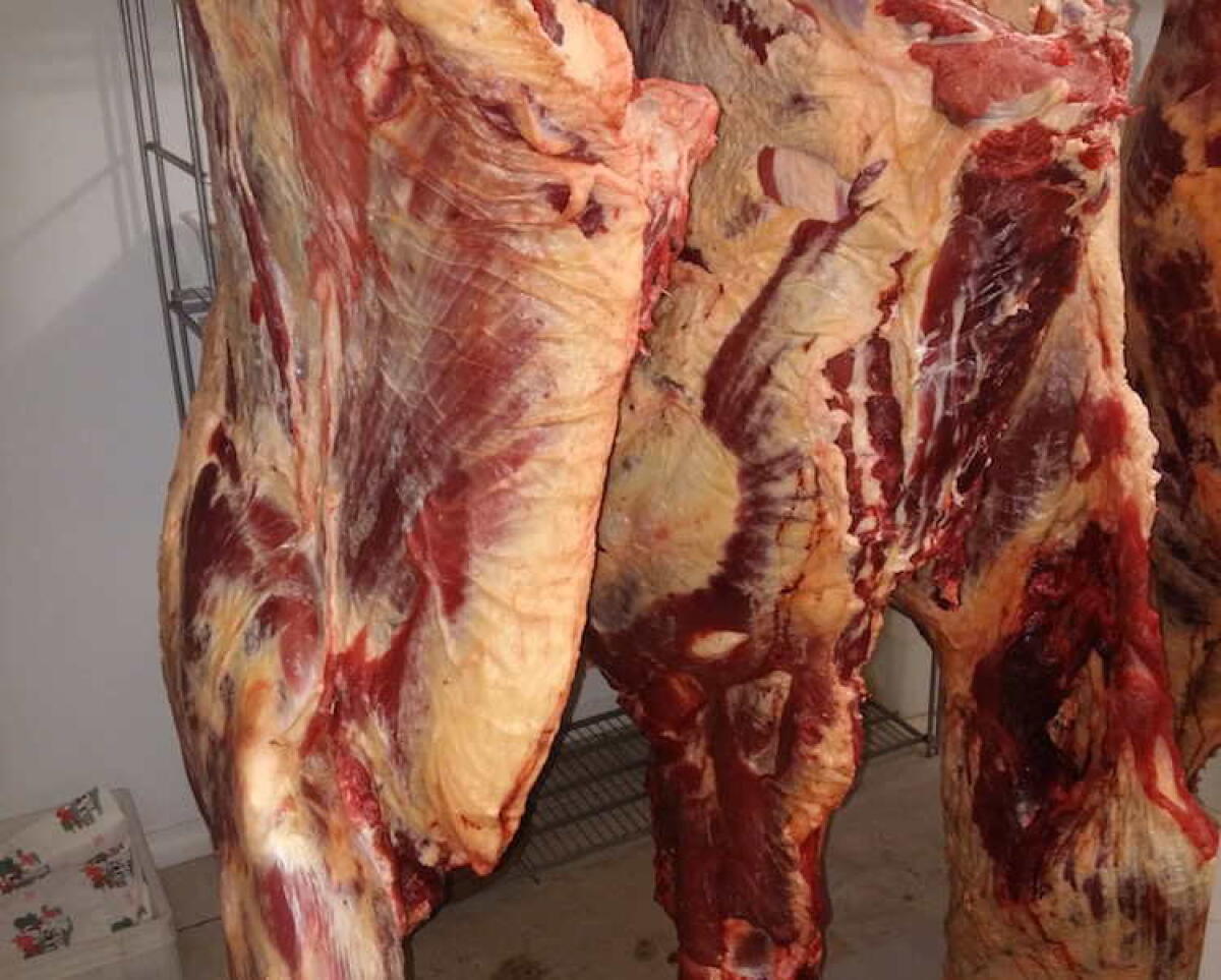 TROVATA MACELLERIA CLANDESTINA A BELPASSO - 