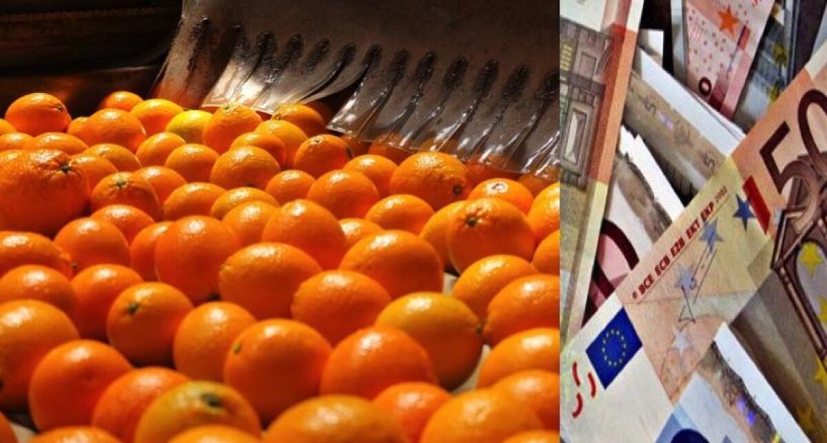 Consorzi di bonifica, cancellata all'Ars la norma che penalizzava i lavoratori stagionali - 