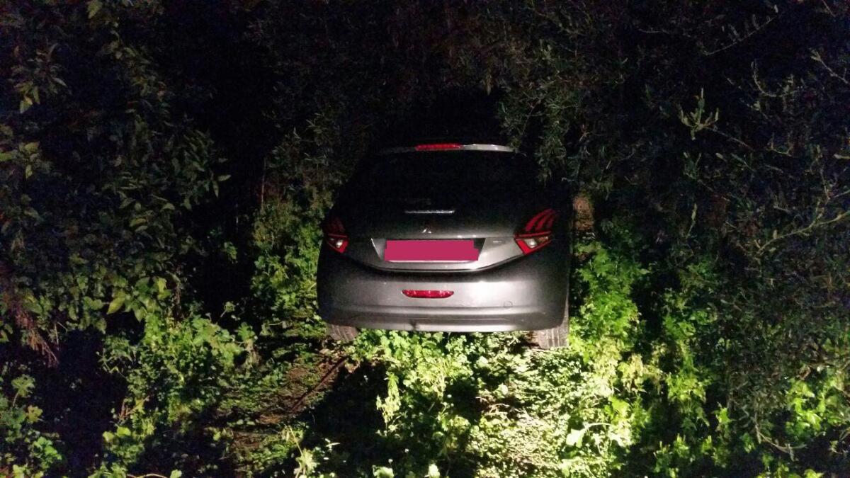 Scoperto deposito d'auto rubate tra Paternò e Licodia - 