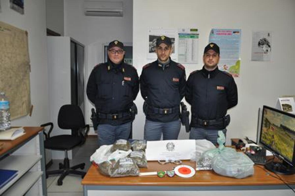 Nesima a setaccio: trovato 1,6 kg di marijuana in un condominio. Sequestrato un centro scommesse - 