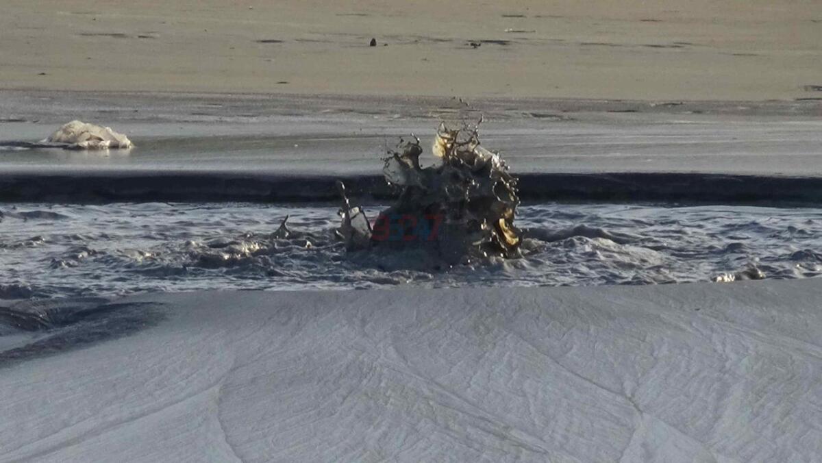 Salinelle in "eruzione" oggi - foto e video - 