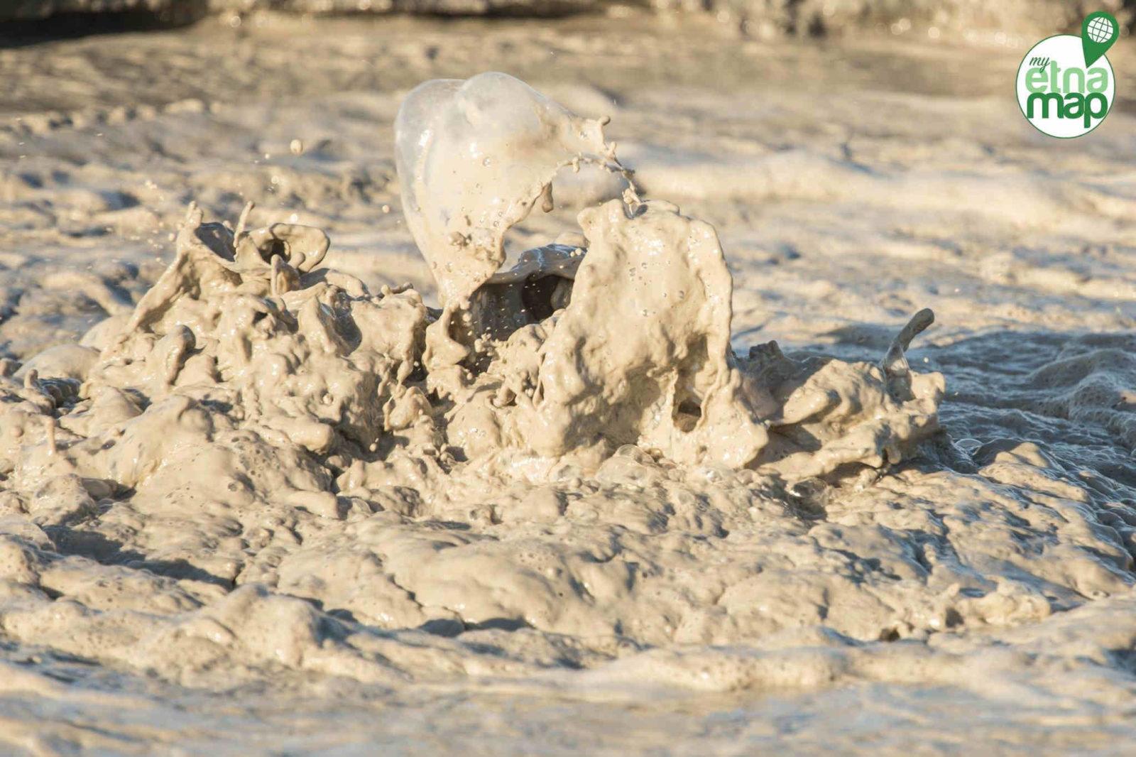 17039337_1807954766121810_4944502409183770517_o