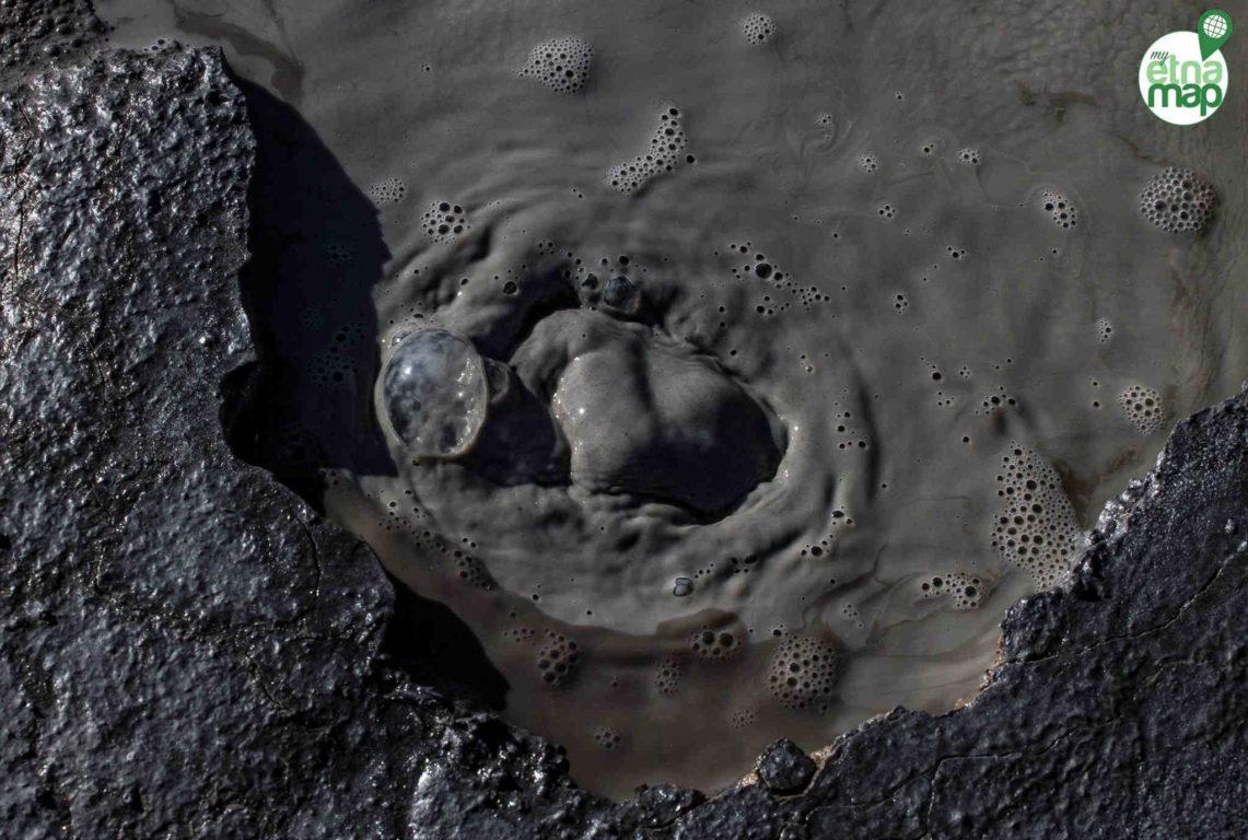 16991742_1807954786121808_6414821862533367580_o