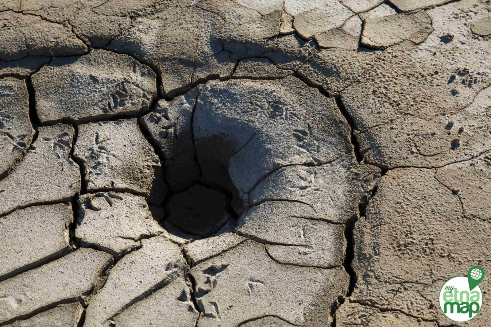 17016851_1807954619455158_2468711700436841256_o