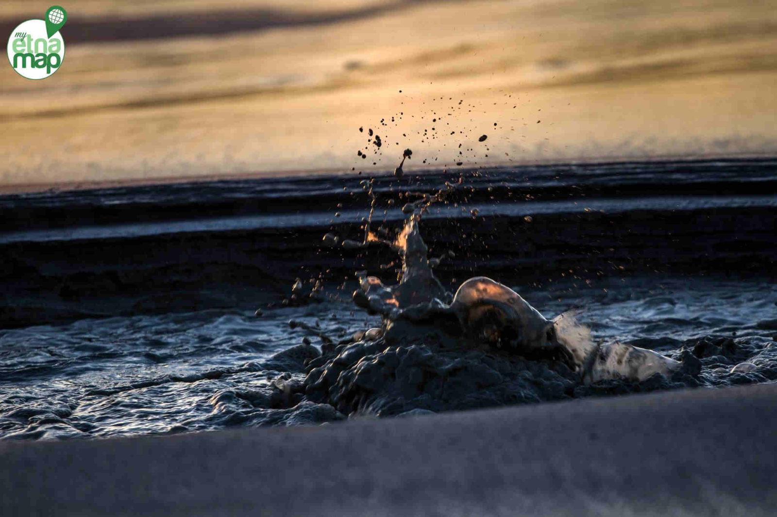 16903523_1807954812788472_1572607302925289834_o