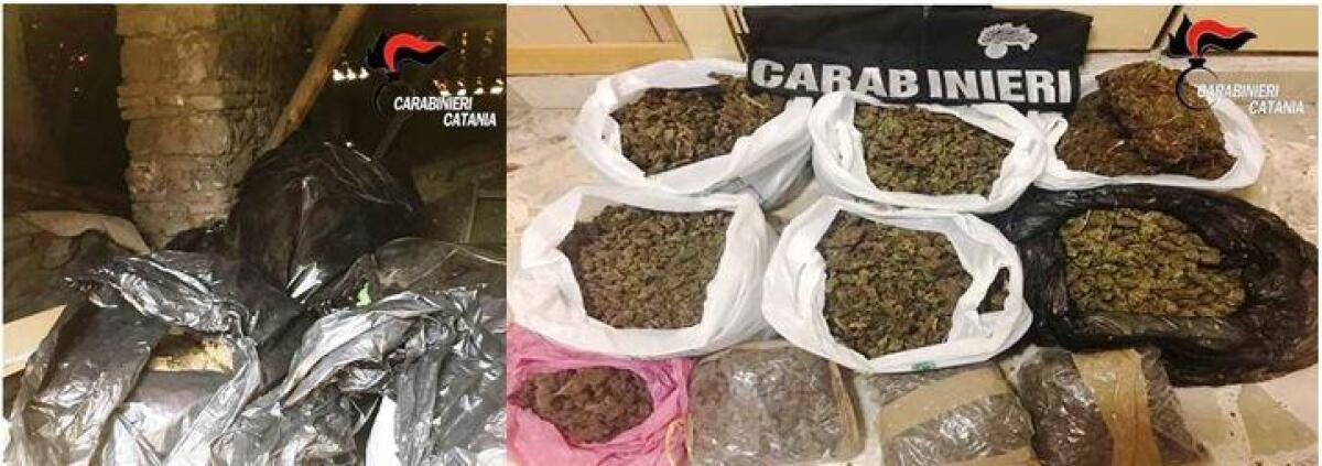 CATANIA: SOTTOTETTO ZEPPO DI DROGA. SEQUESTRATI OLTRE 8 KG DI MAIJUANA - 