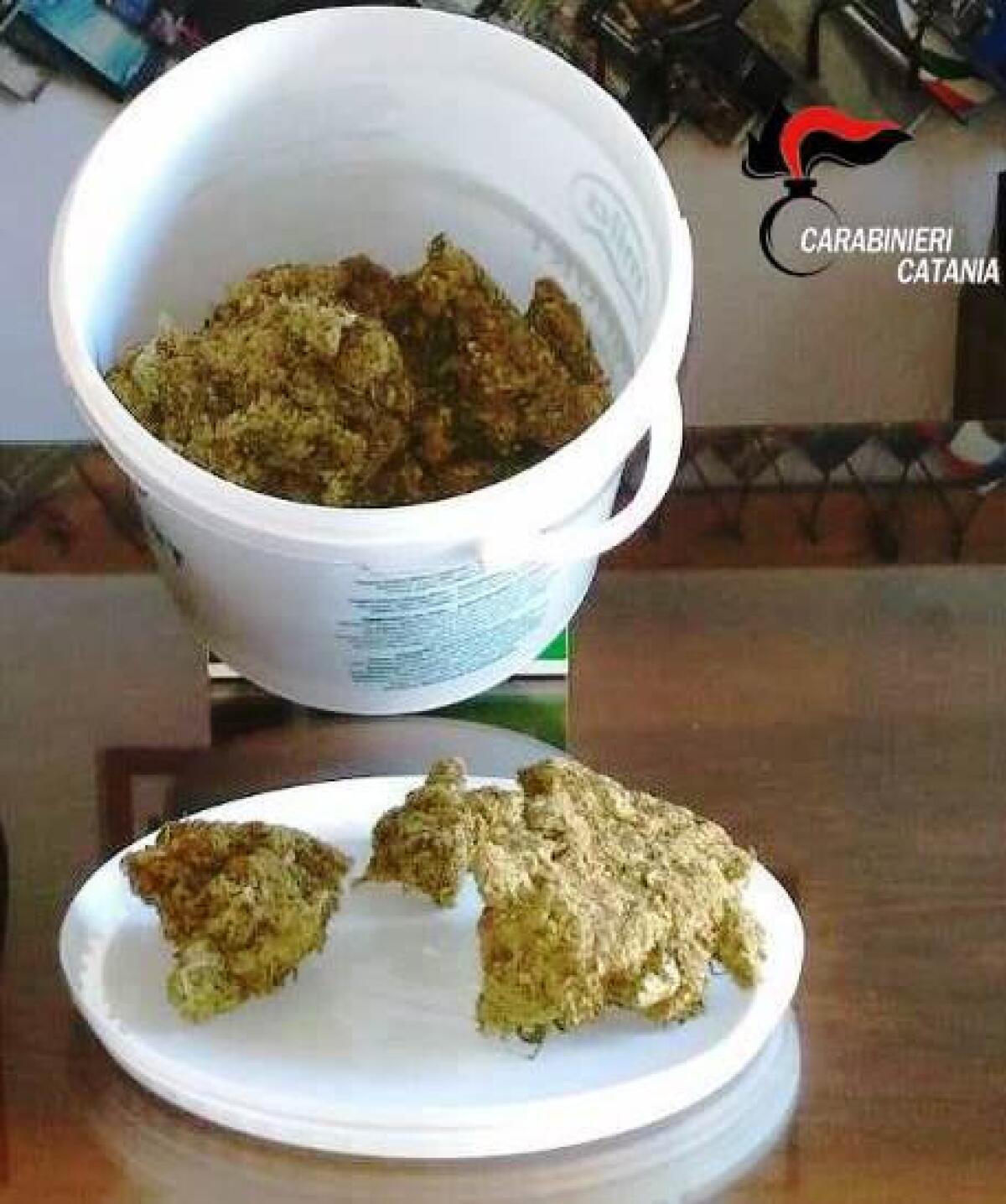 NICOLOSI: MEZZO CHILO DI DROGA A CASA ARRESTATO IMPIEGATO - 