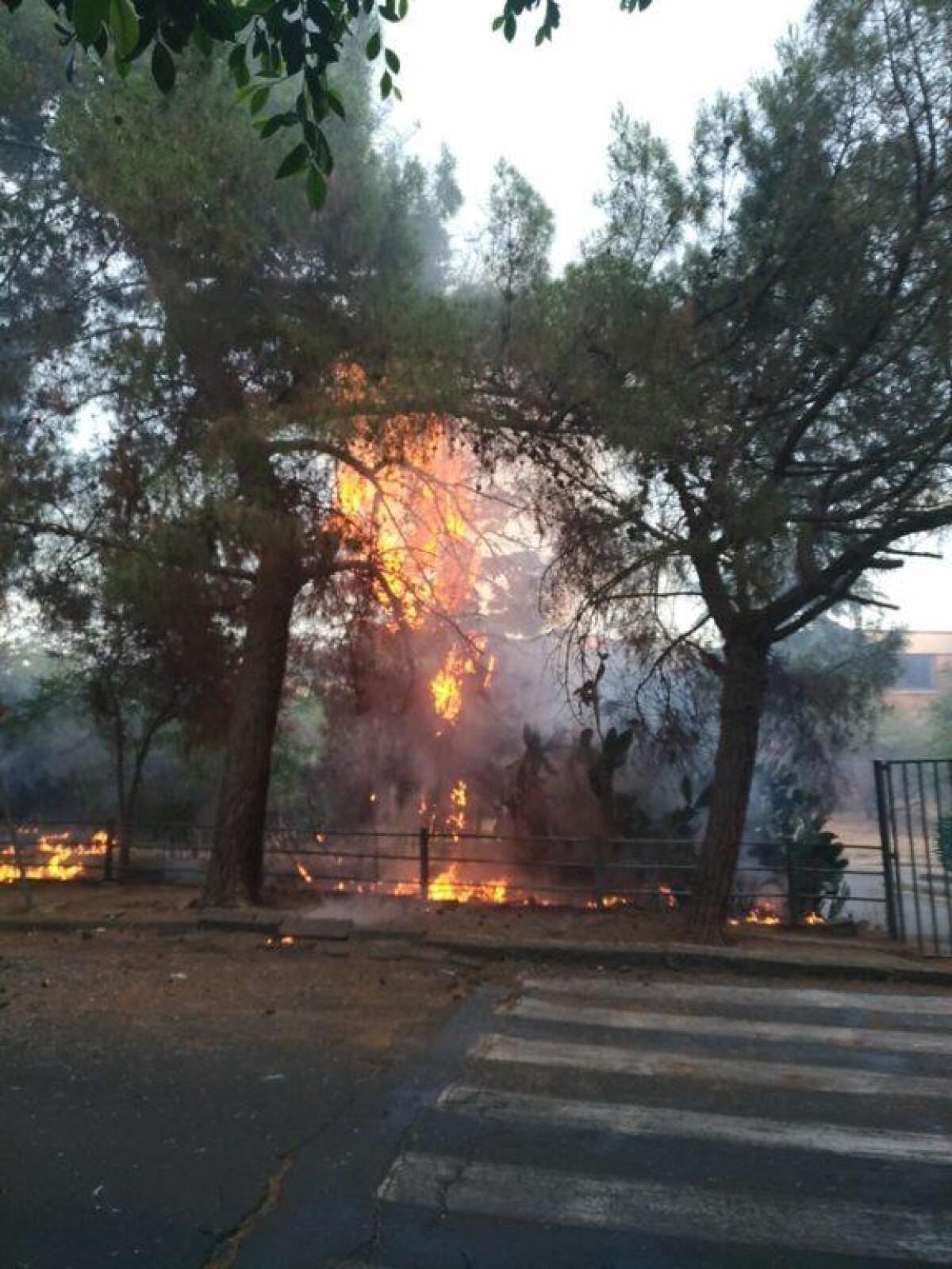 INCENDIO IN VIALE KENNEDY - FOTO - 