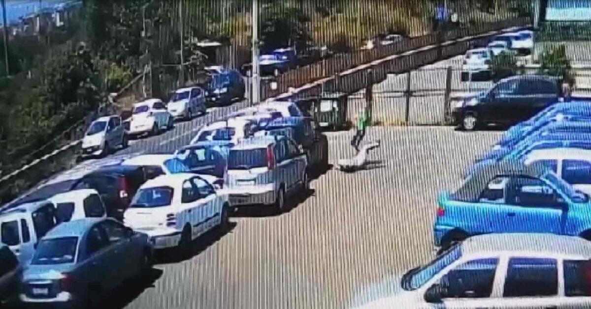 ACIREALE, TASSISTA MORTO D'INFARTO DOPO PESTAGGIO: FERMATO L'AGGRESSORE - VIDEO - 