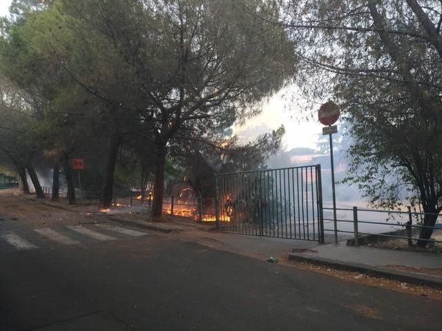INCENDIO IN VIALE KENNEDY - FOTO