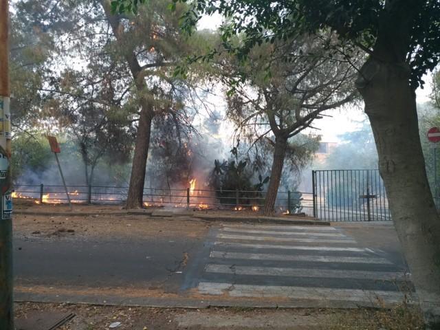 INCENDIO IN VIALE KENNEDY - FOTO