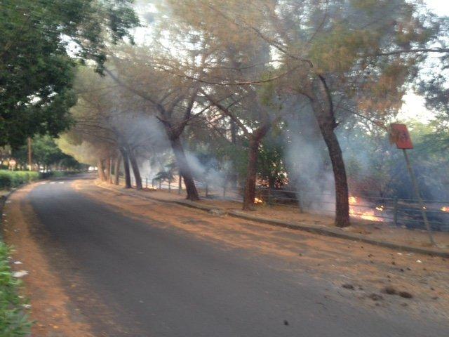 INCENDIO IN VIALE KENNEDY - FOTO