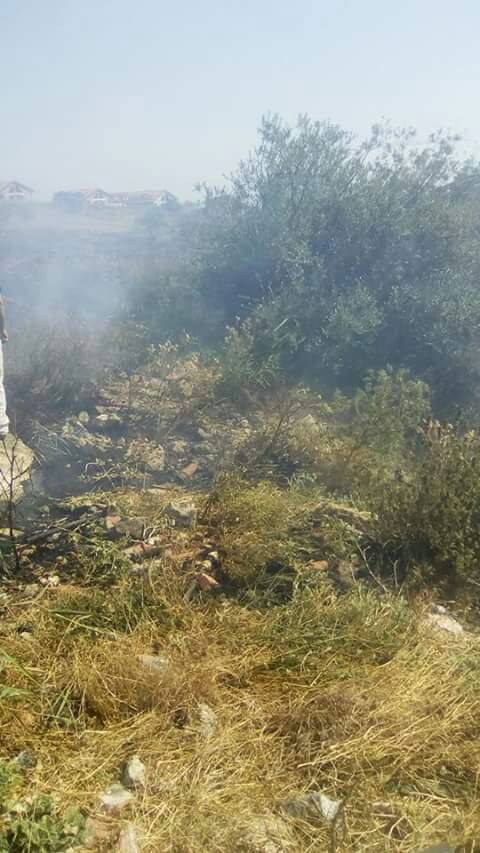 PATERNO' INCENDIO DI STERPAGLIE - FOTO