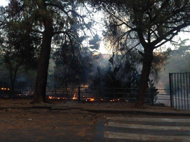 INCENDIO IN VIALE KENNEDY - FOTO