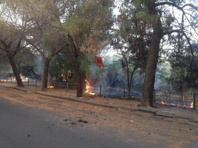 INCENDIO IN VIALE KENNEDY - FOTO