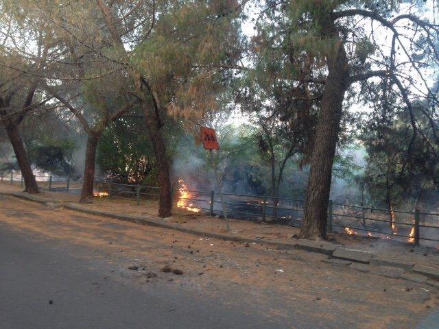 INCENDIO IN VIALE KENNEDY - FOTO